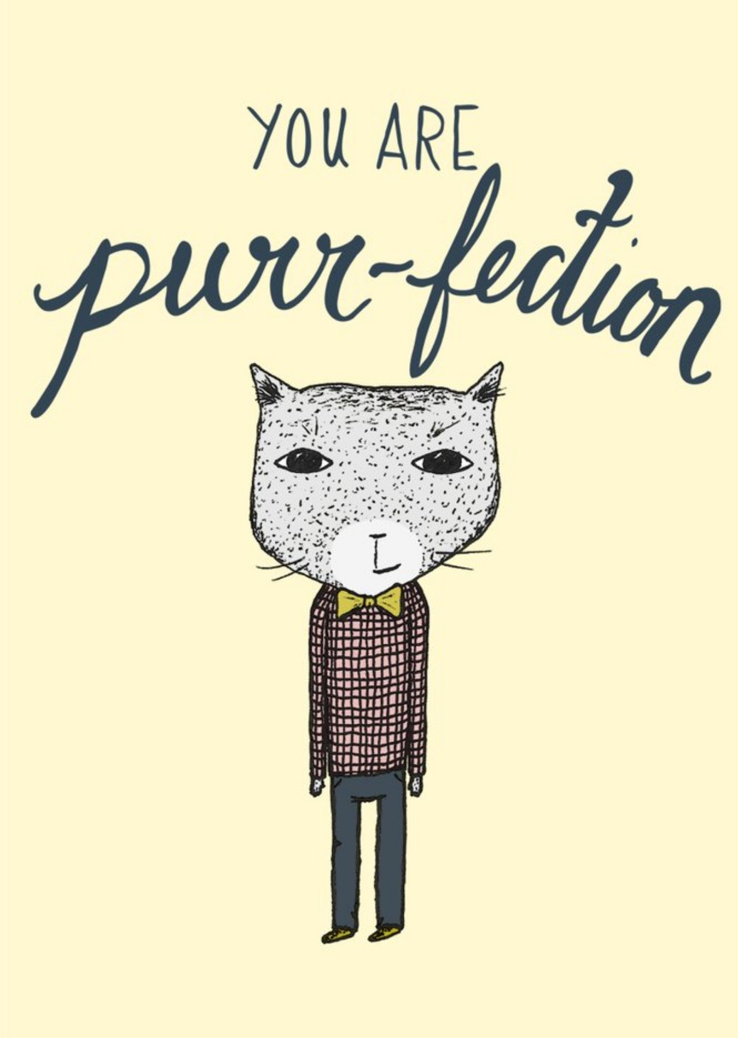 You Are Perfection Cat Card Ecard