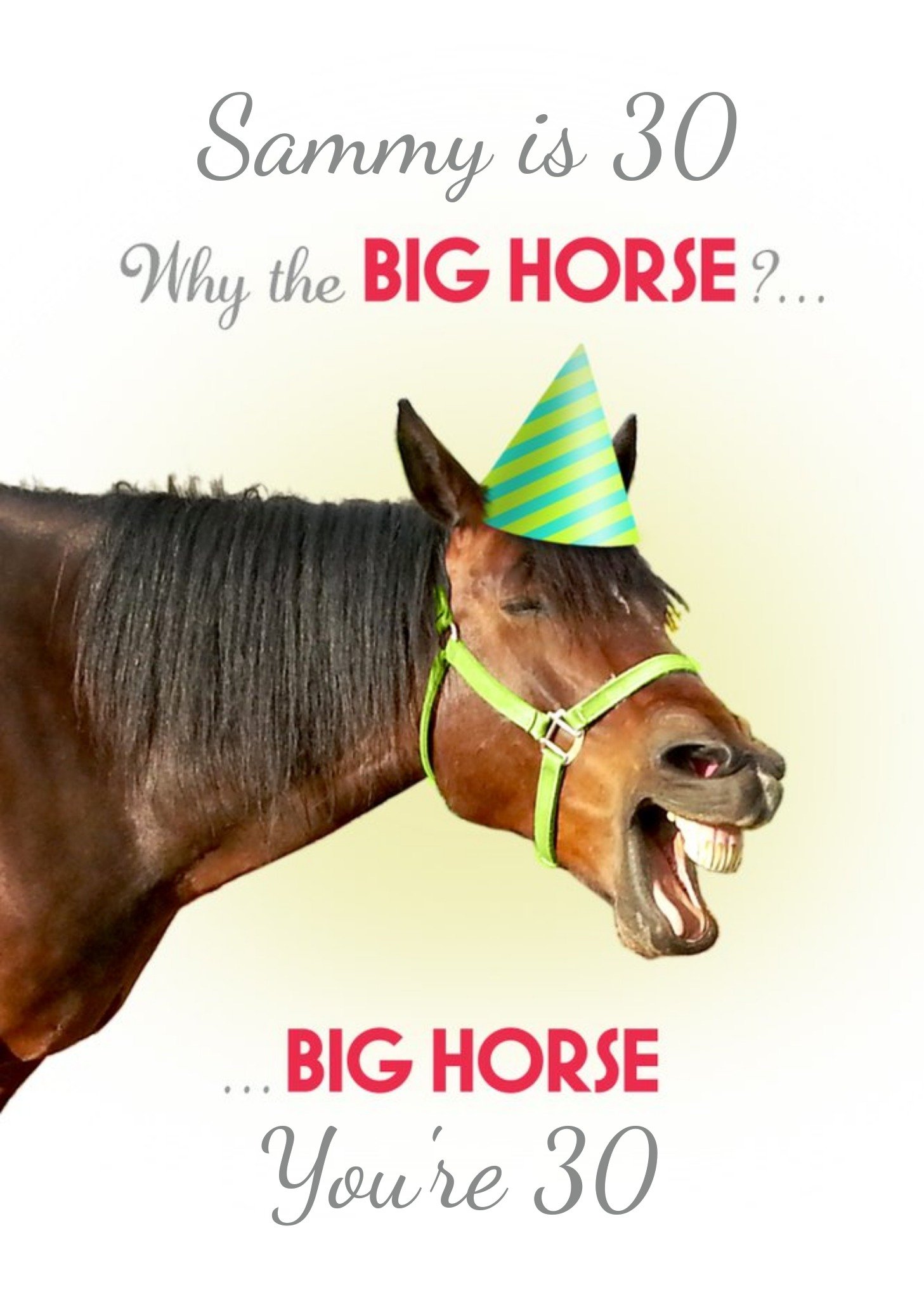 Moonpig Why The Big Horse Personalised Birthday Card, Large