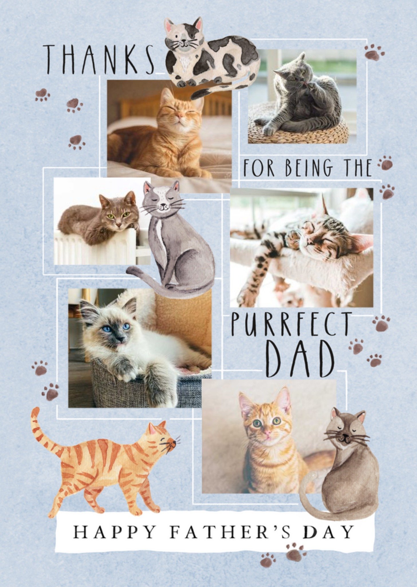 Moonpig Illustrations Of Cats With A Collage Of Six Photo Frames Purrfect Father's Day Photo Upload 