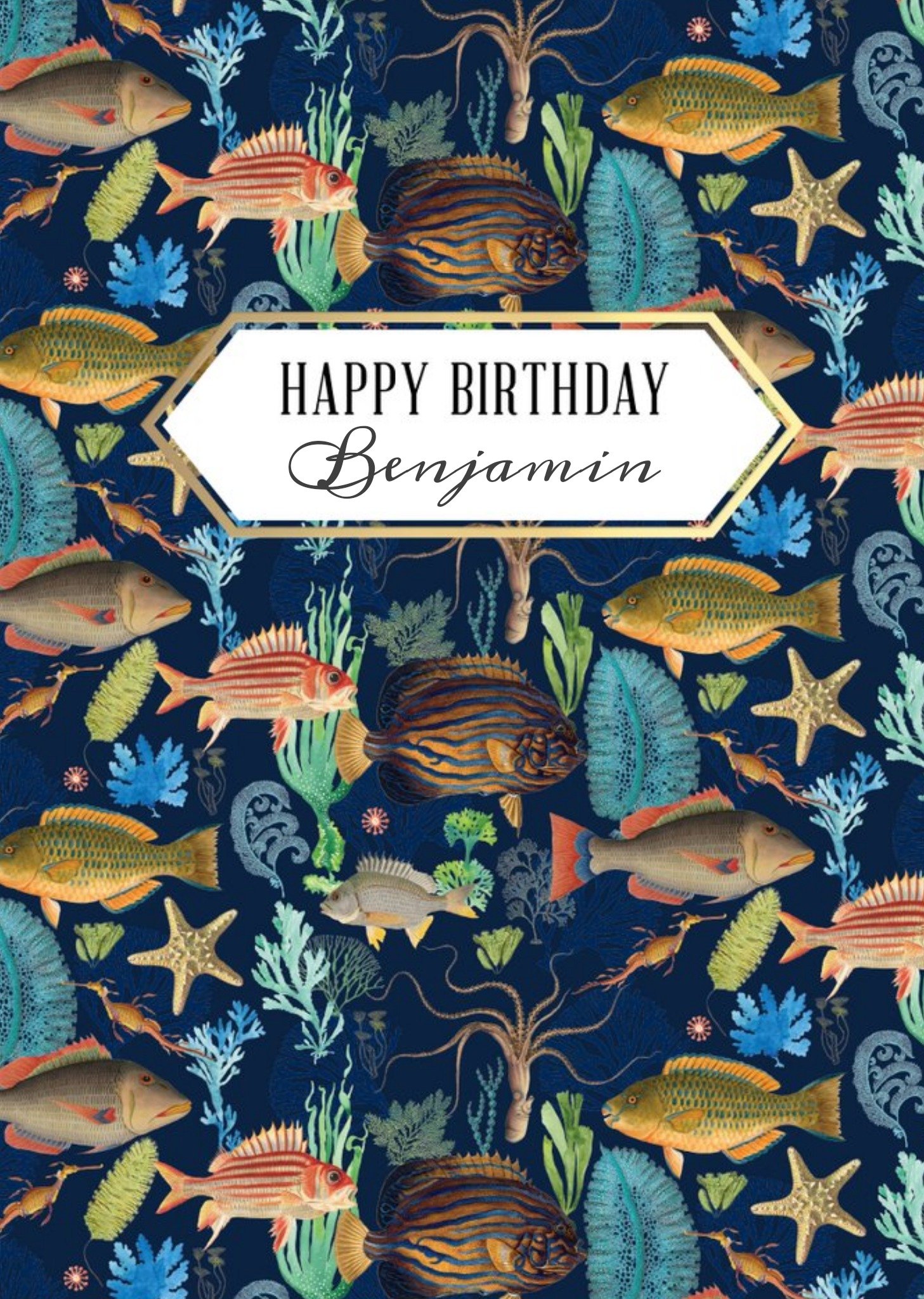 The Natural History Museum Natural History Museum Happy Birthday Underwater Card, Large