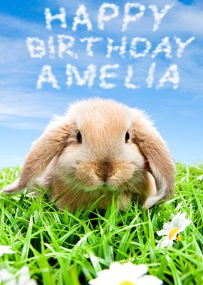 Limelight Personalised Birthday Rabbit Card