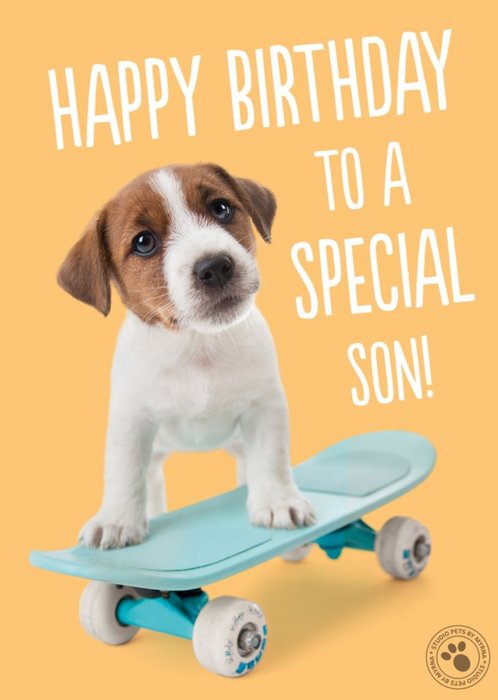 Studio Pets Skateboarding Puppy Birthday Card