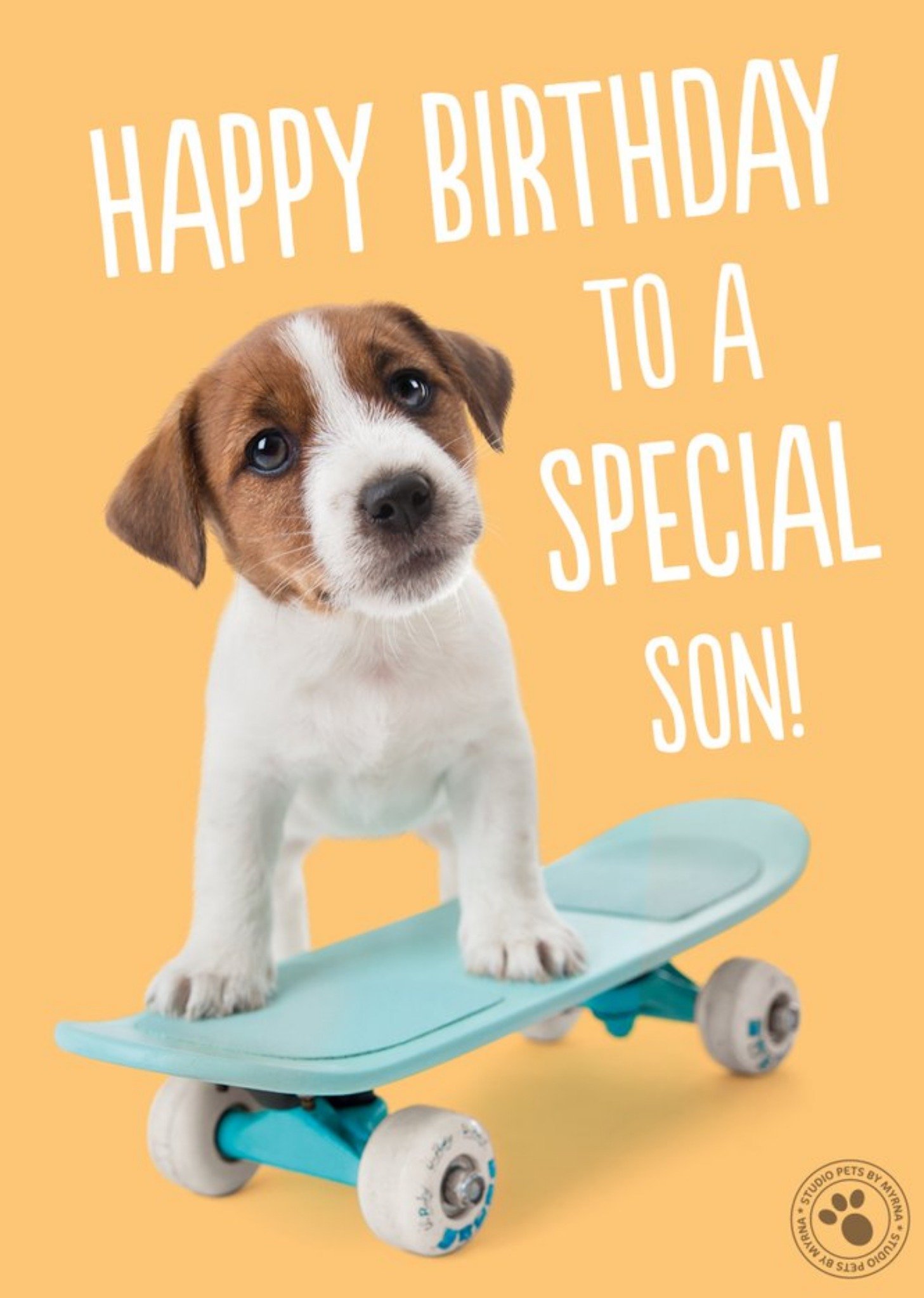 Studio Pets Skateboarding Puppy Birthday Card Ecard