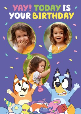 Bluey Birthday Cards