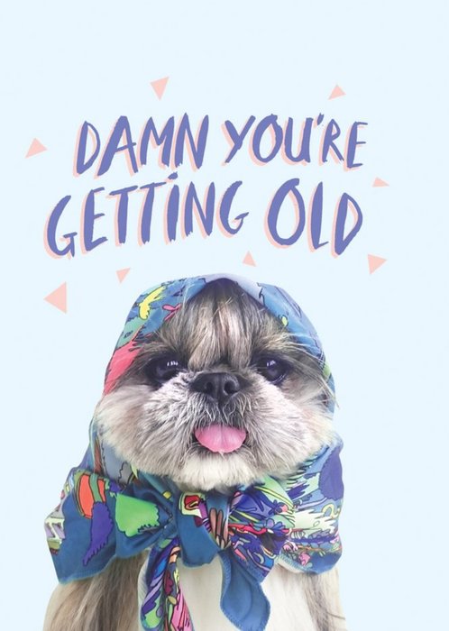 Jolly Awesome Damn Your Getting Old Birthday Dog Card