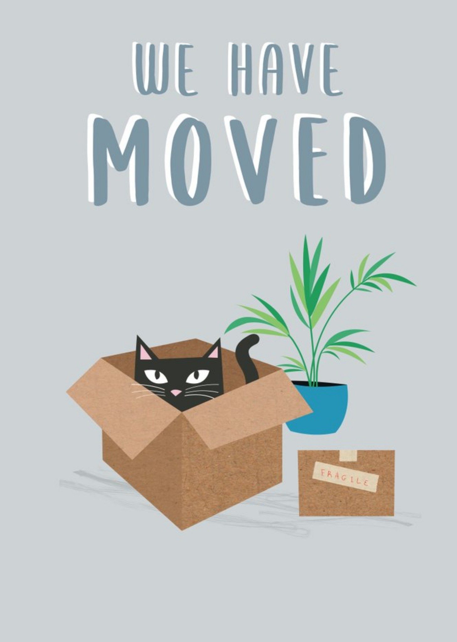 Cute Cat In A Box We Have Moved New Home Card Ecard