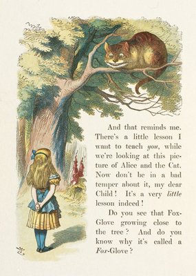V&A Alice In Wonderland Illustration of Alice and the Chesire Cat Card