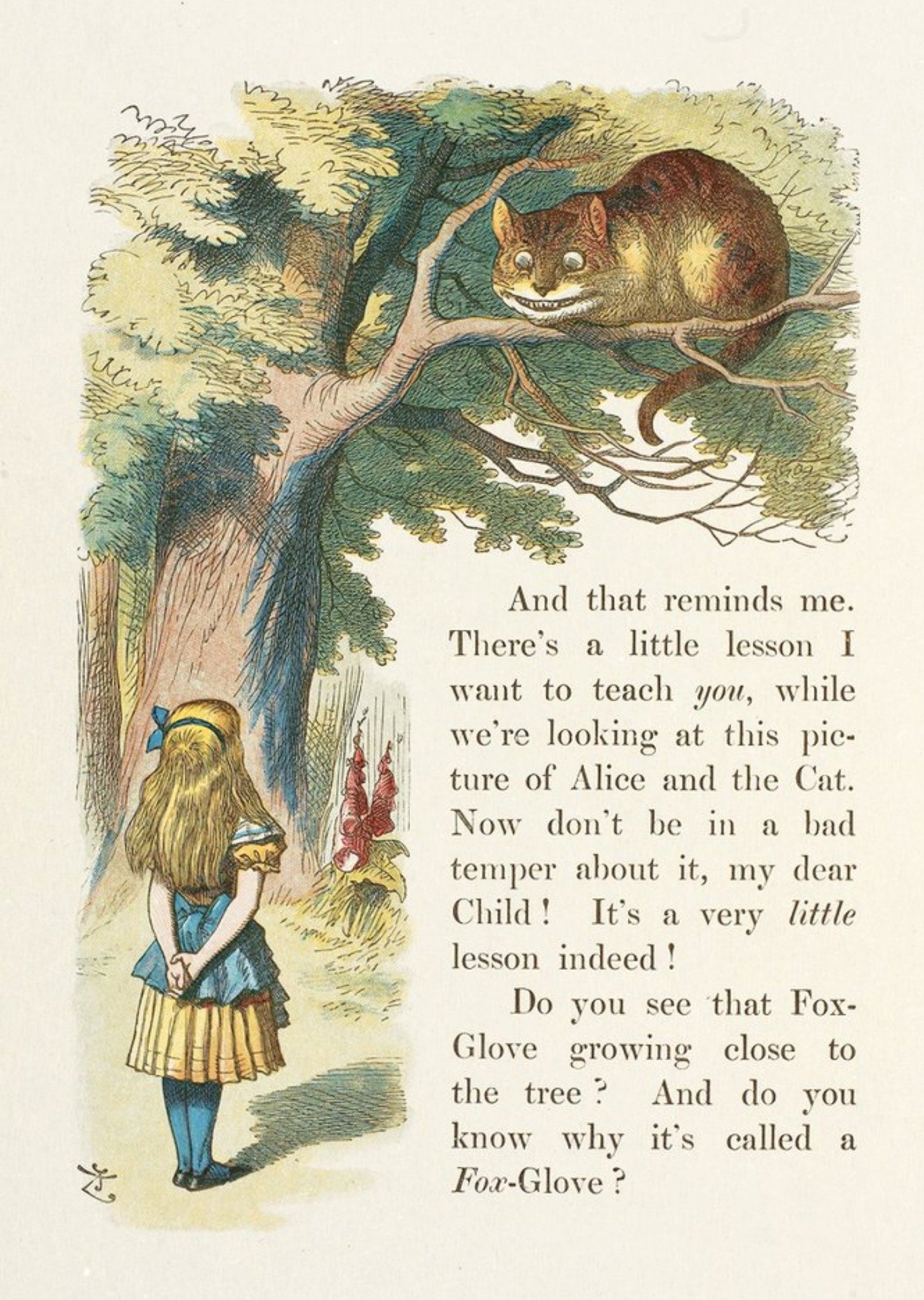 The V&a V&a Alice In Wonderland Illustration Of Alice And The Chesire Cat Card, Large
