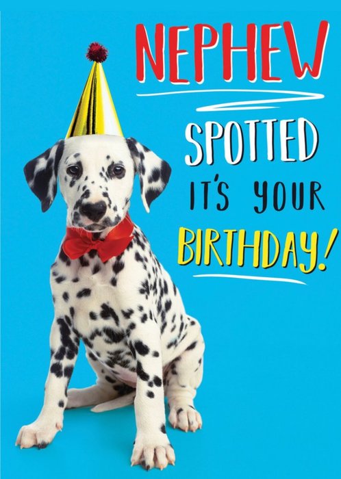 Dog Nephew Spotted It's Your Birthday Card