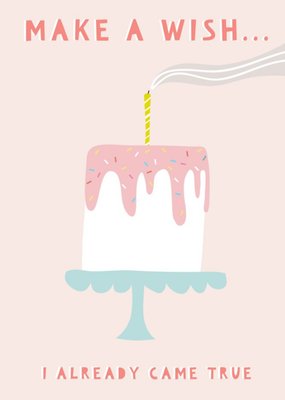 Illustrated Cake Make A Wish Birthday Card