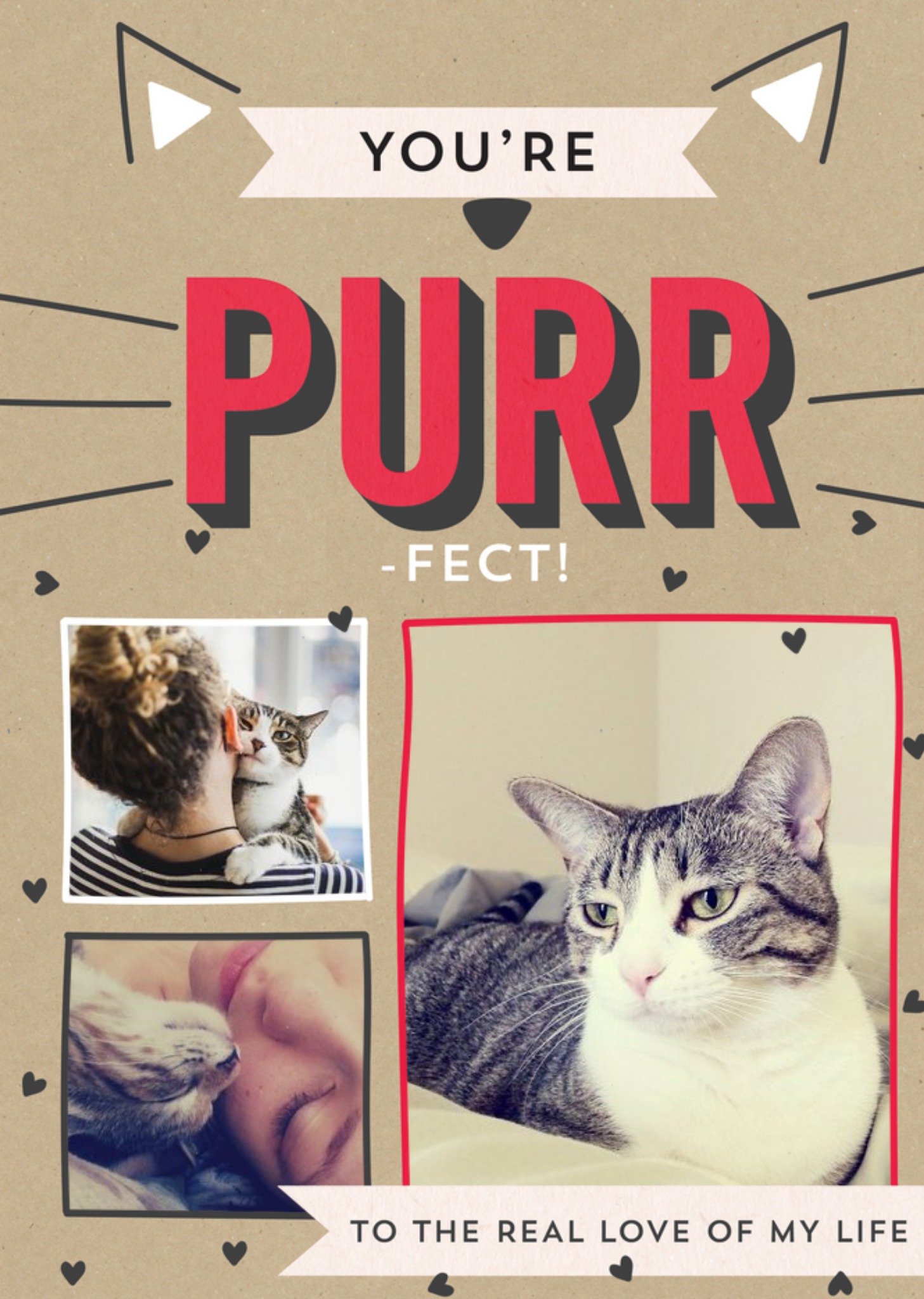 You're Purr-Fect Cat Valentine's Day Photo Card Ecard