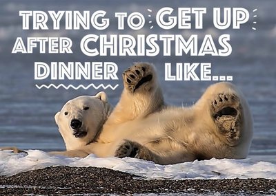 Polar Bear Post Dinner Personalised Christmas Card