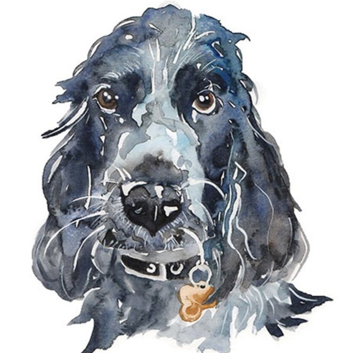 Illustrated Watercolour Cocker Spaniel Dog Just A Note Card