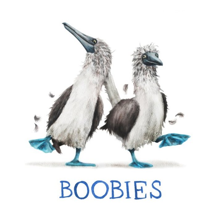 Birds Boobies Card