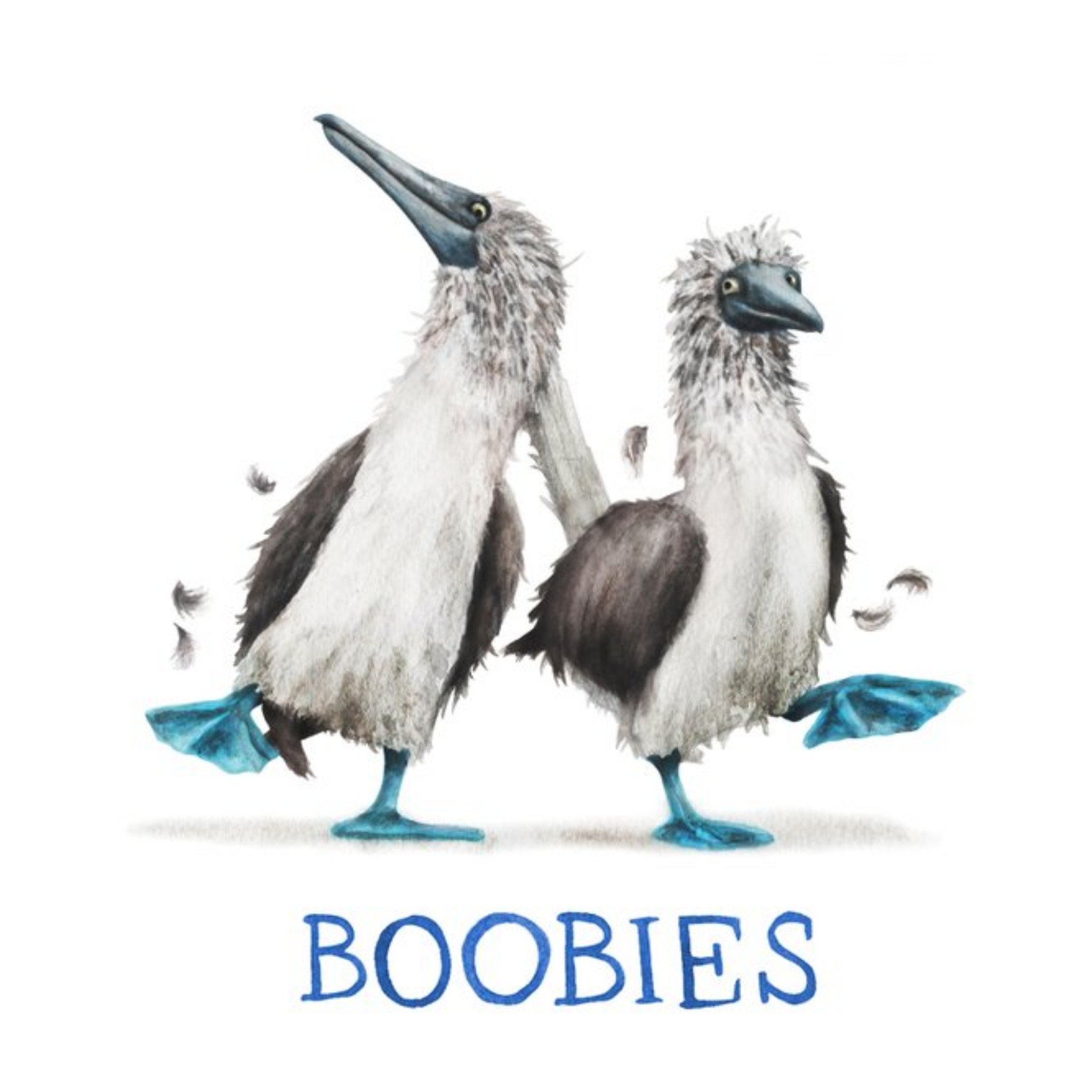 Moonpig Birds Boobies Card, Square
