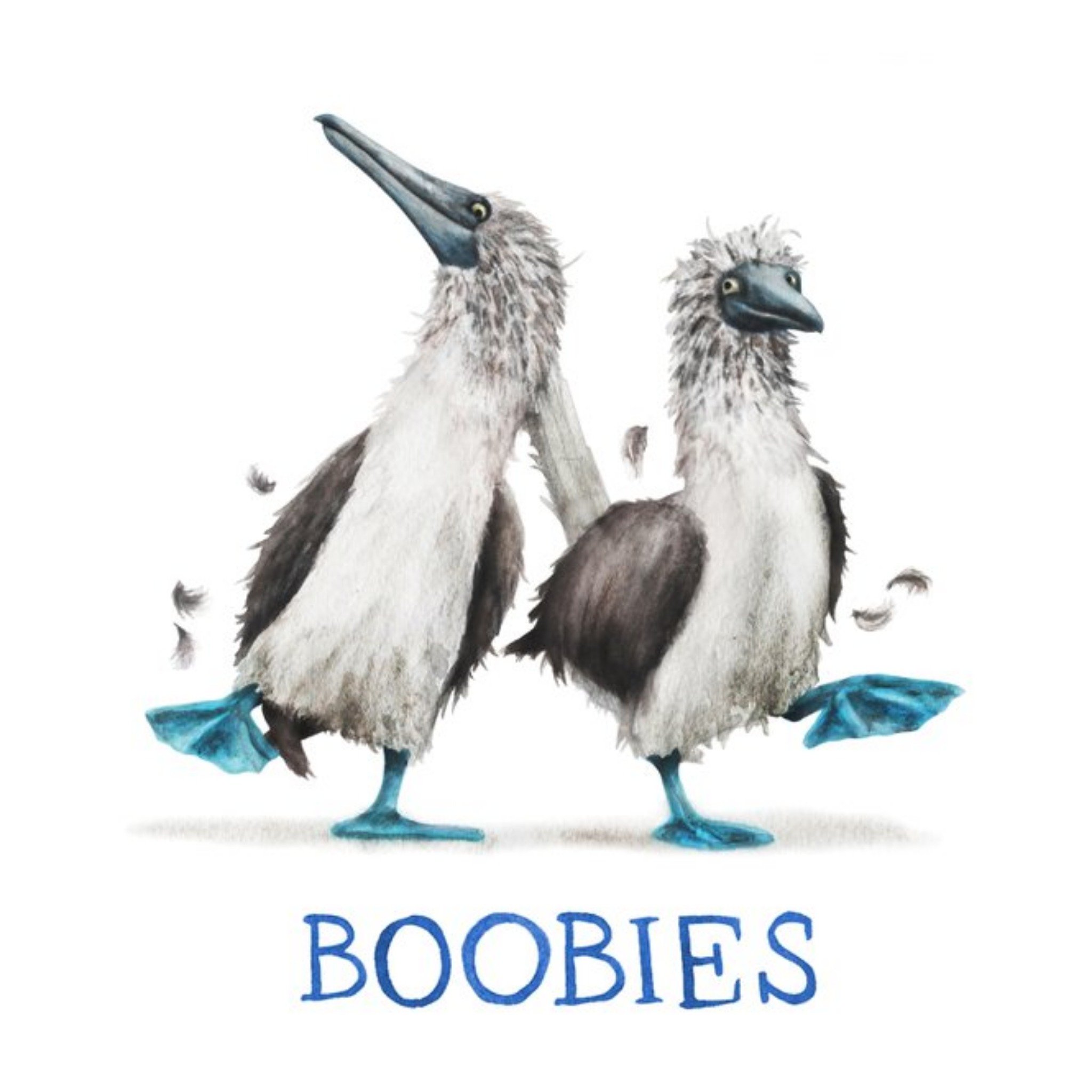 Birds Boobies Card, Square