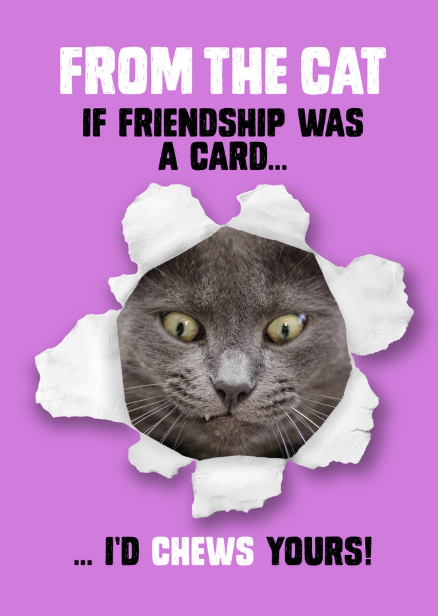 Moonpig If Friendship Was A Card From The Cat Photo Upload Card, Large