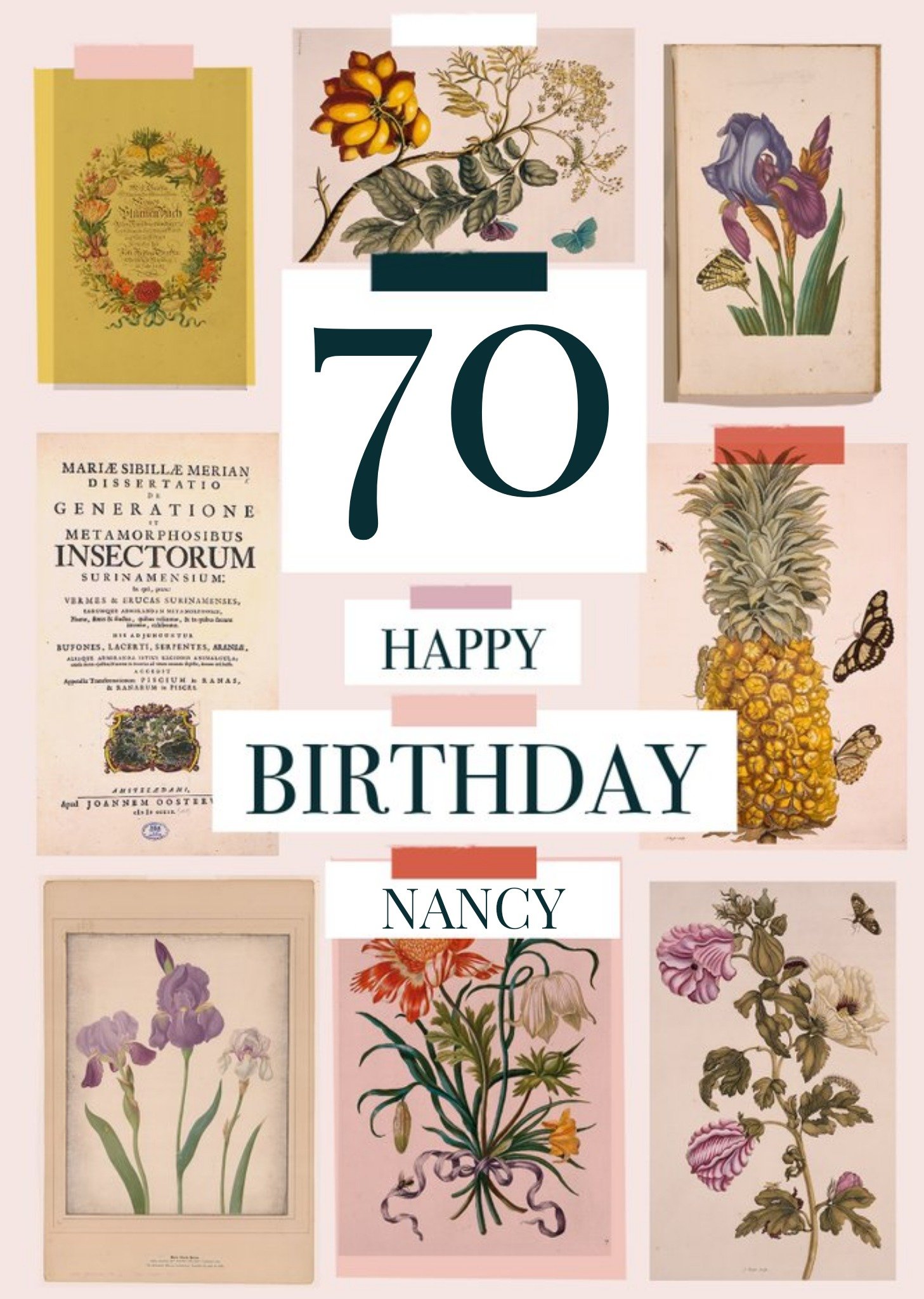 the Natural History Museum Natural History Museum Personalised 70th Birthday Card, Large