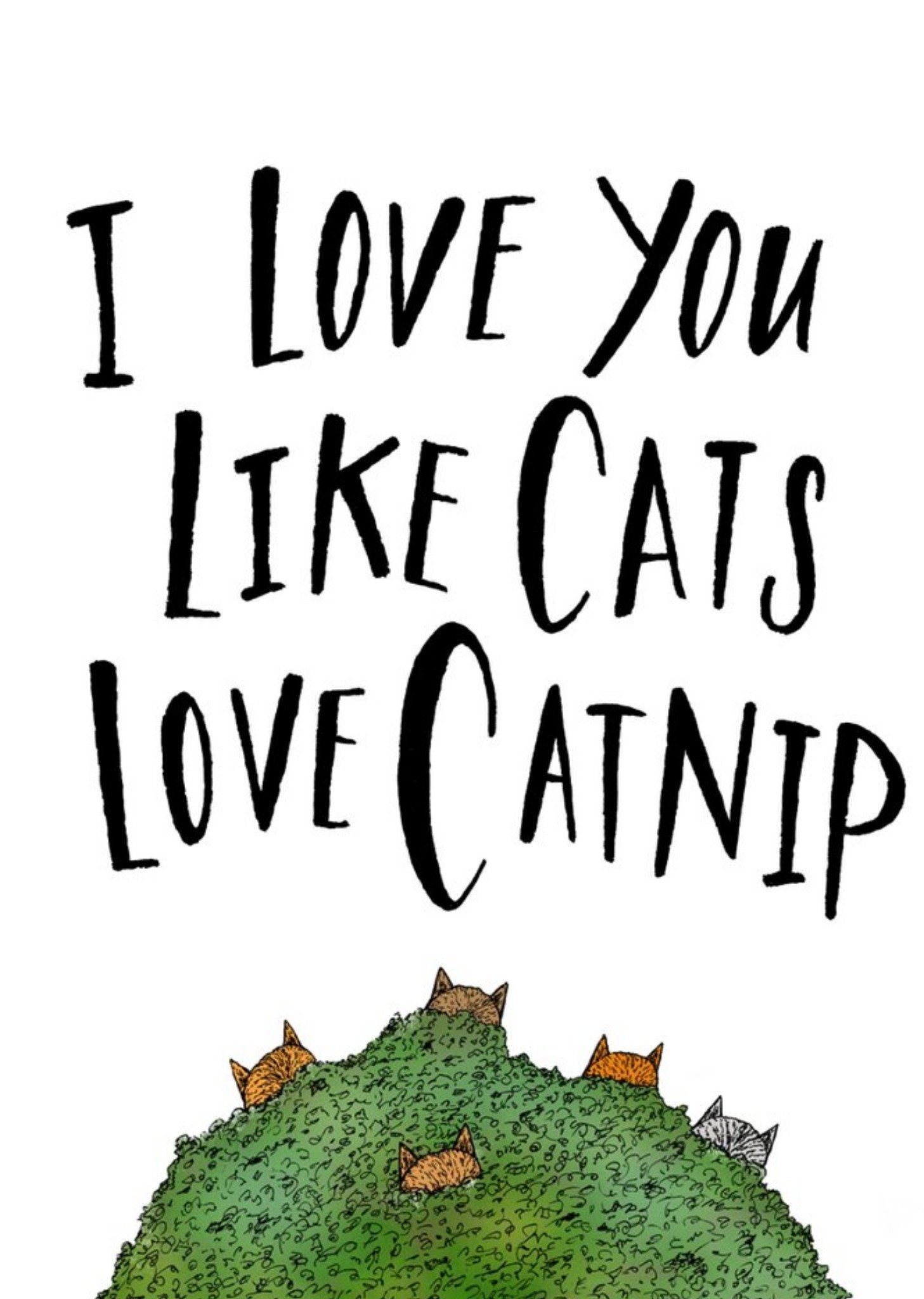 Moonpig I Love You Like Cats Like Catnip Funny Card, Large