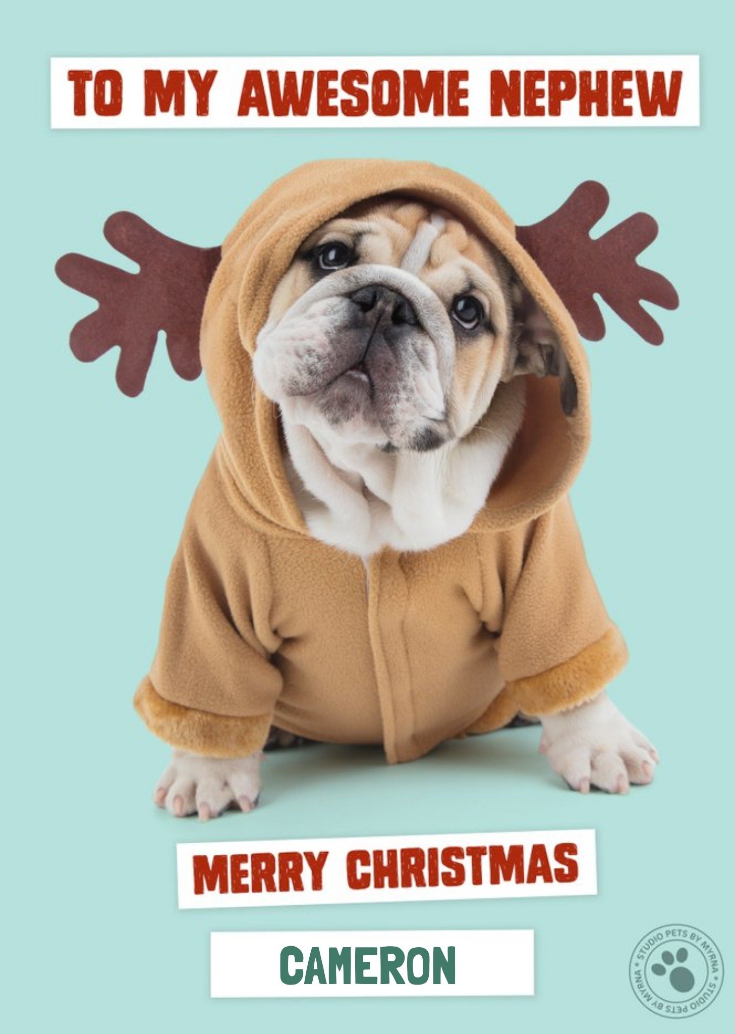 Studio Pets To My Awesome Nephew Merry Christmas, Large Card
