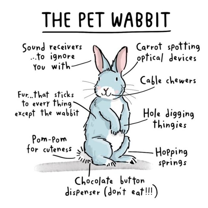 Funny The Pet Wabbit Birthday Card
