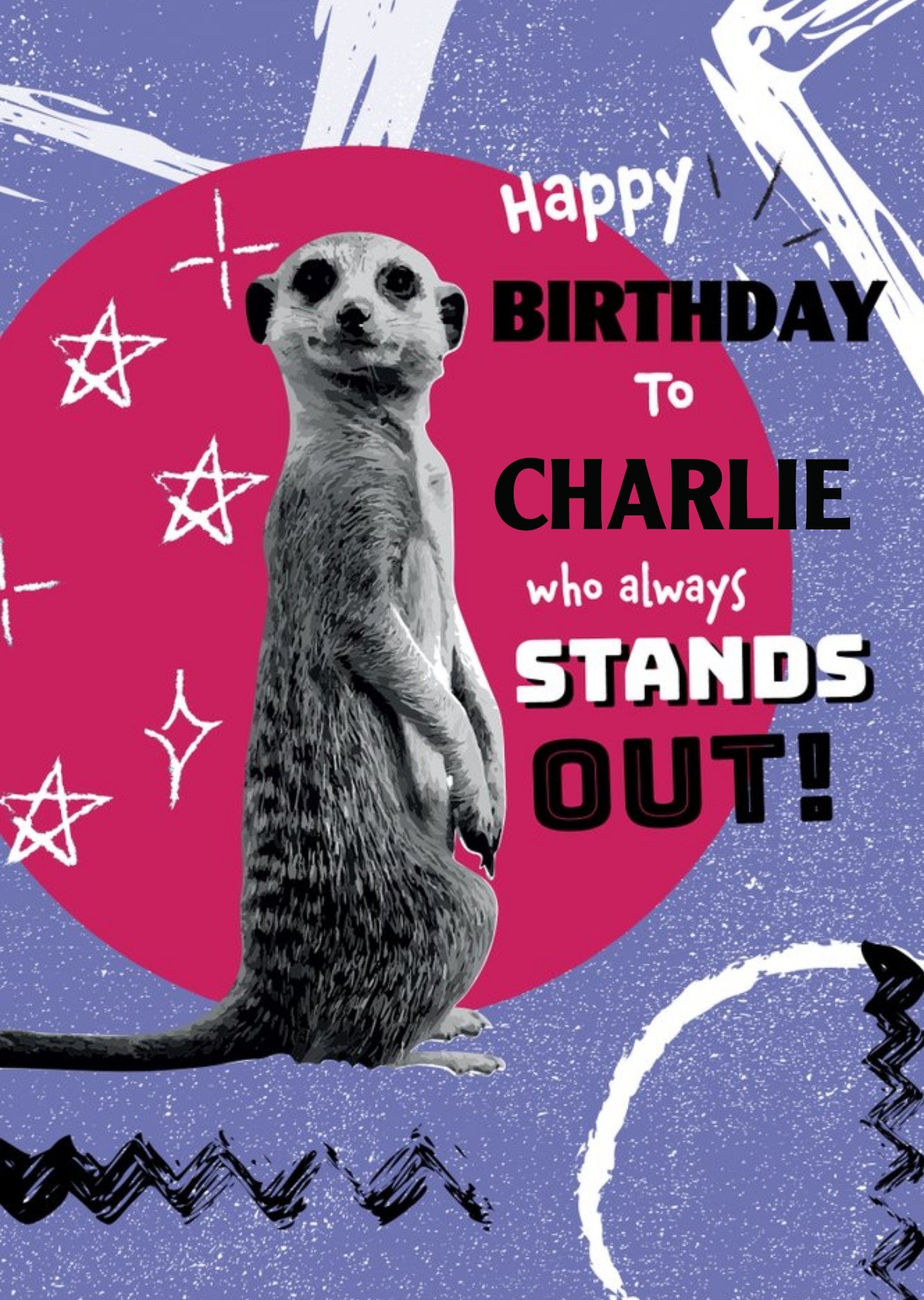 Animal Planet Bright Graphic Illustration Of A Meerkat. You Always Stand Out Birthday Card Ecard