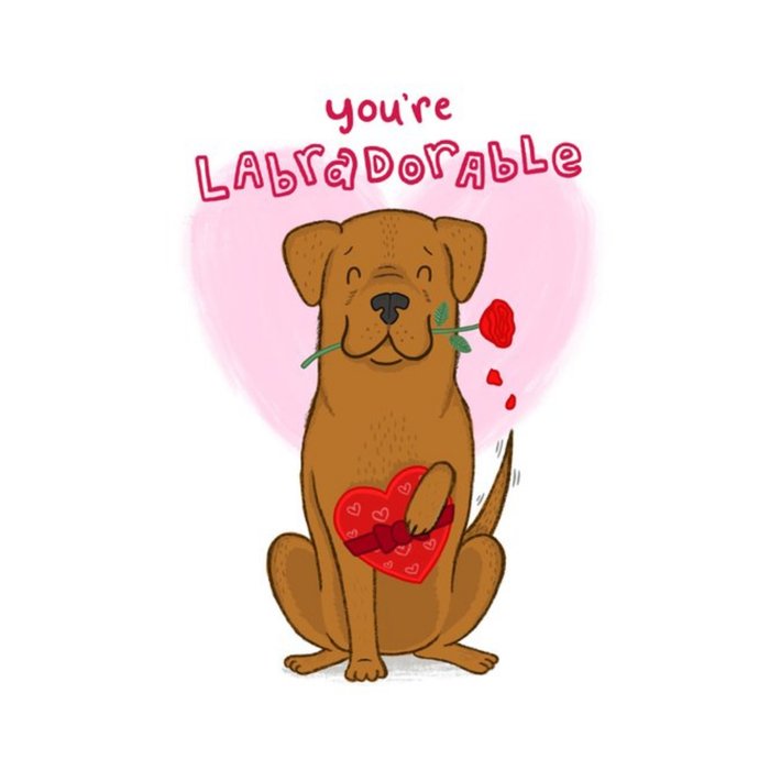 Illustration Of A Labrador With A Rose And Chocolate You're Labradorable Card