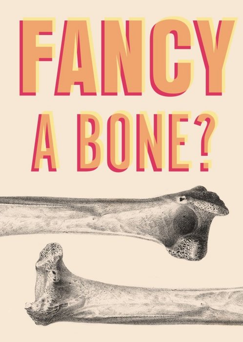 Funny and Rude Fancy A Bone Valentine's Day Card