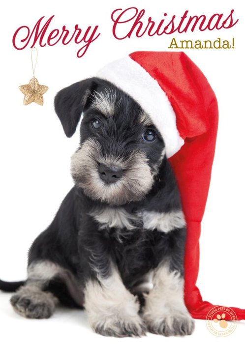 Little Puppy With Santa Hat Personalised Merry Christmas Card