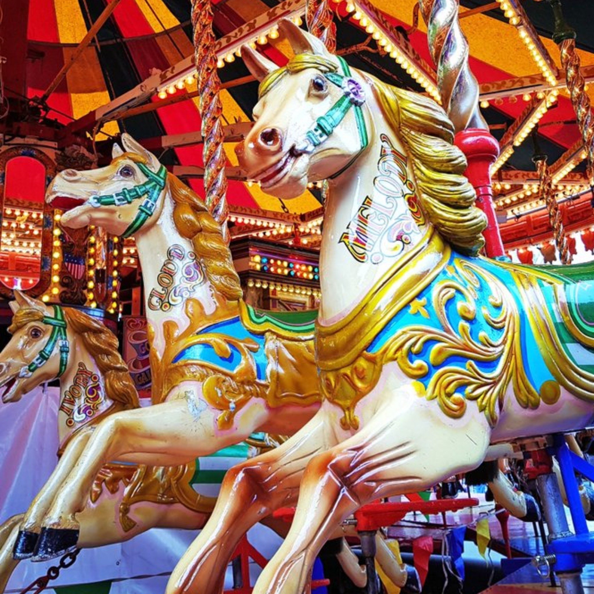 Moonpig Photographic Horse Carousel Fair Ground Just A Note Card, Large