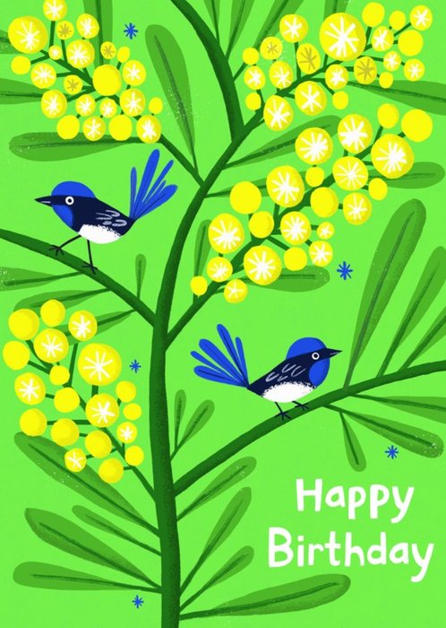 Vibrant Illustration Of A Pair Of Superb Fairywren Perched In A Golden Wattle Tree Birthday Card