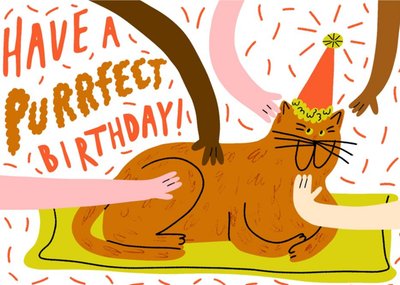 Florence Poppy Funny Have A Purrfect Birthday Card