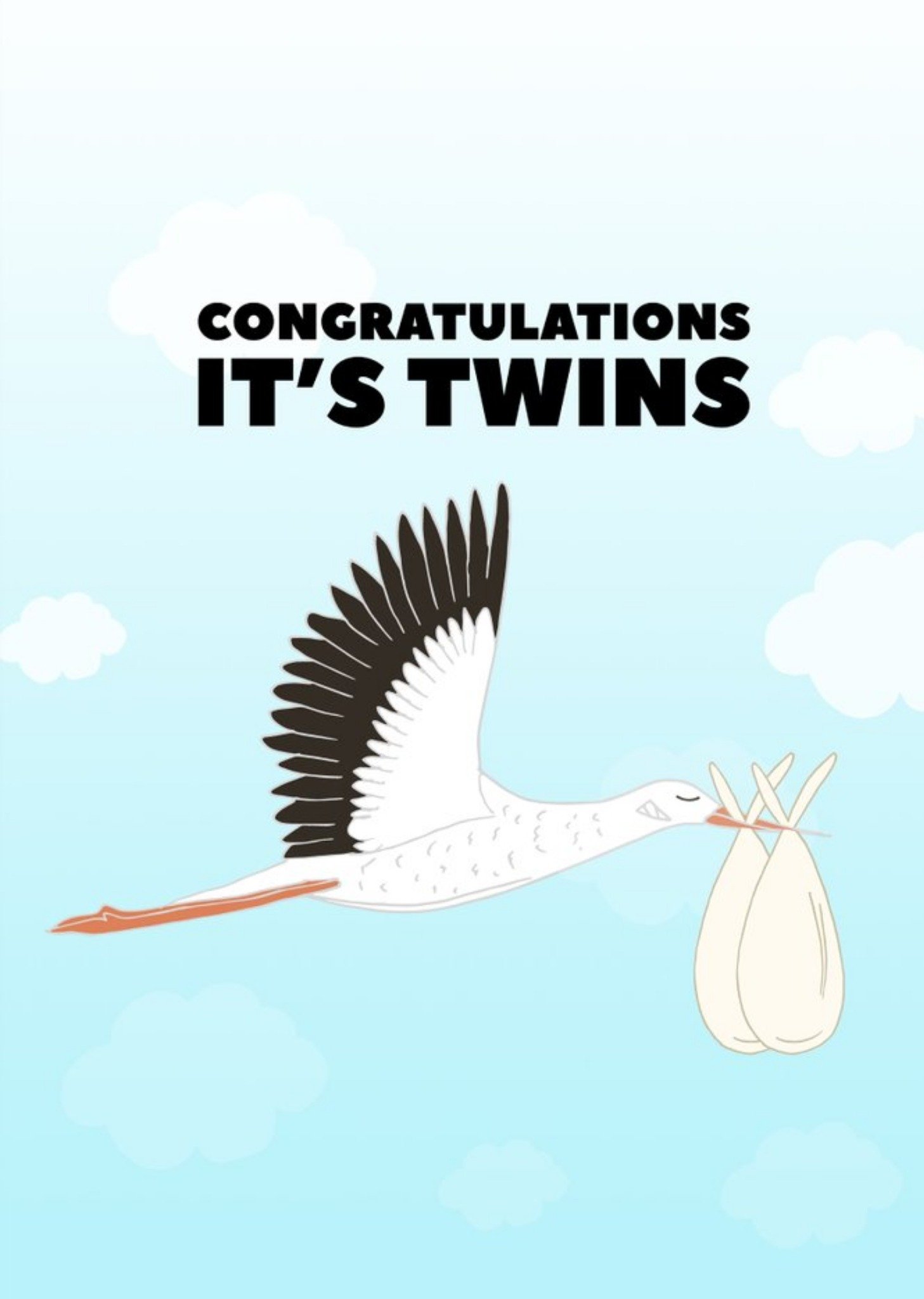 Moonpig Pearl And Ivy Illustrated Stork Twins Congratulations Card Ecard