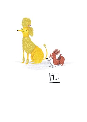 Animal birthday card - dogs - poodle - quick card postcard