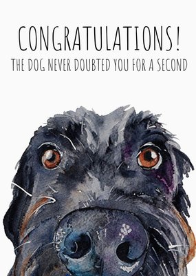 Watercolour Illustration Close Up Dog Congratulations Card