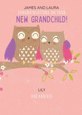 Pigment 30K Owl Grandchild New Baby Card