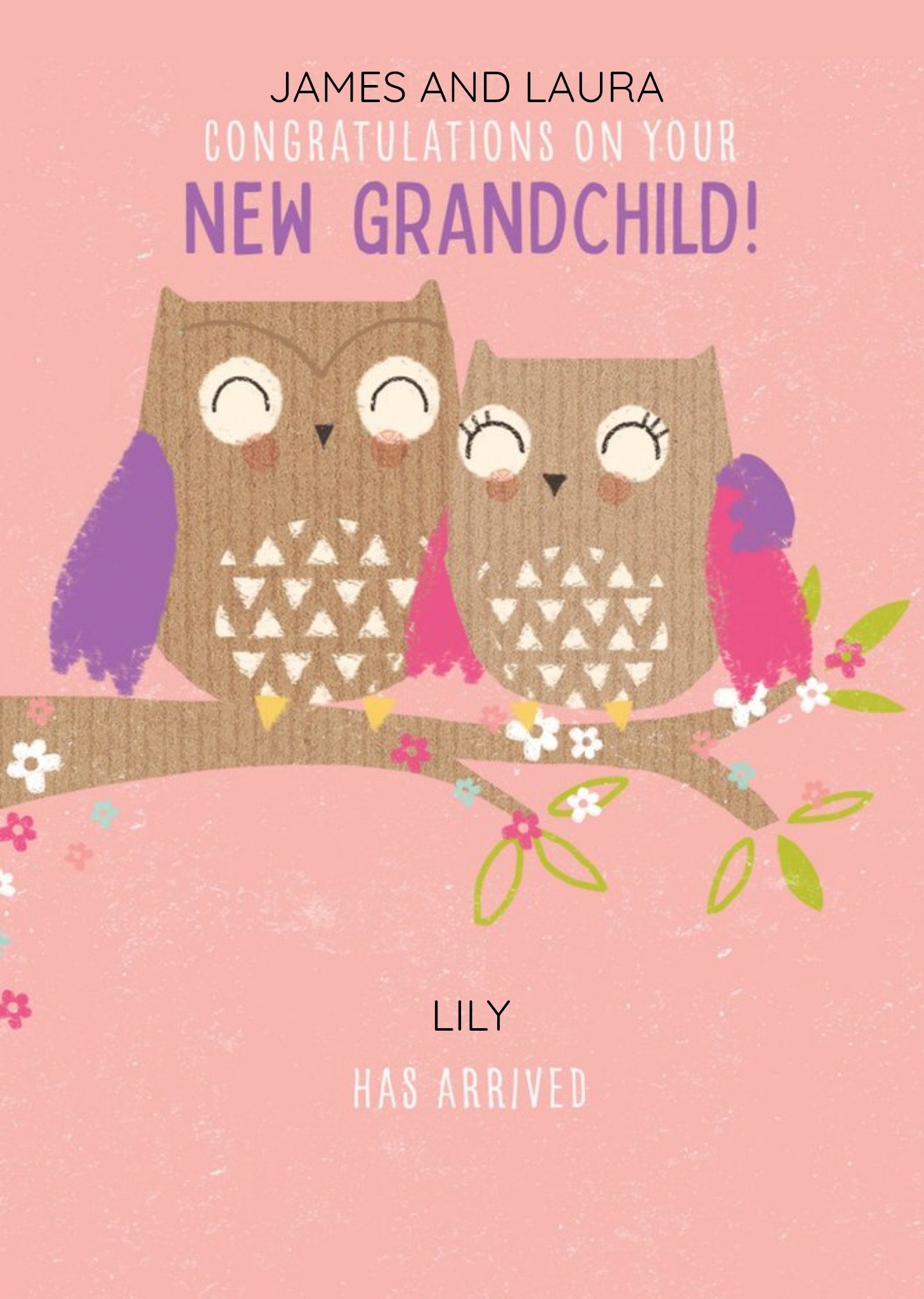 Moonpig Pigment 30K Owl Grandchild New Baby Card Ecard