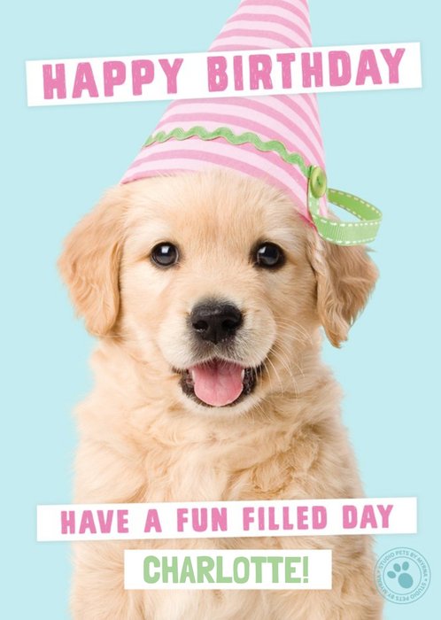 Puppy wearing a birthday hat Personalised Birthday Card