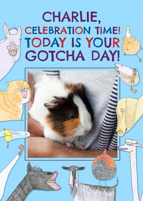 Quirky Illustrations Of Various Animals Photo Upload Gotcha Day Card