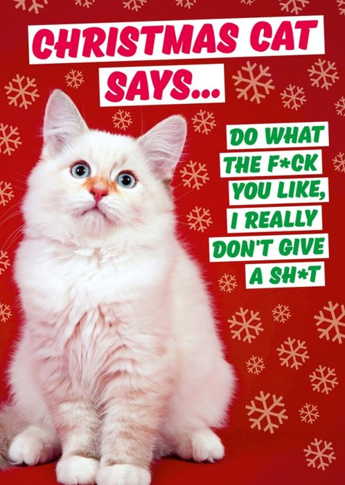 Christmas Cat Says Funny Christmas Card