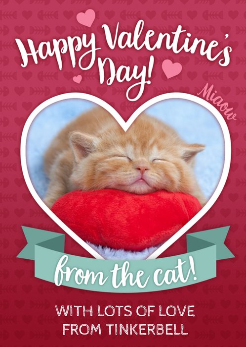 Happy Valentines Day From The Cat Photo Upload Card