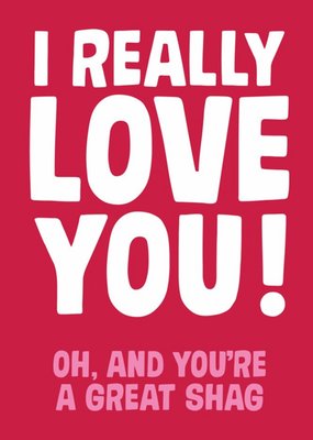 Rude Funny Typographic I Really Love You Card