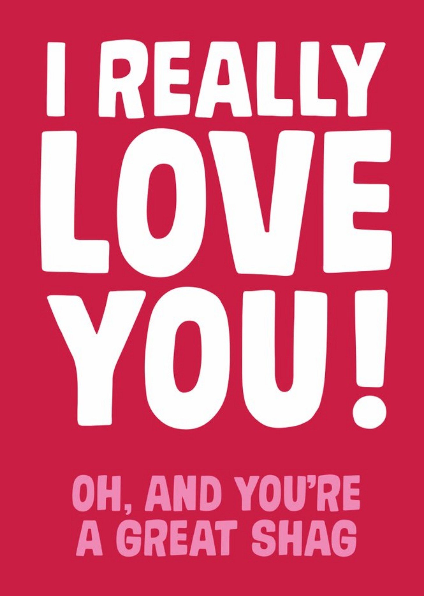 Rude Funny Typographic I Really Love You Card Ecard