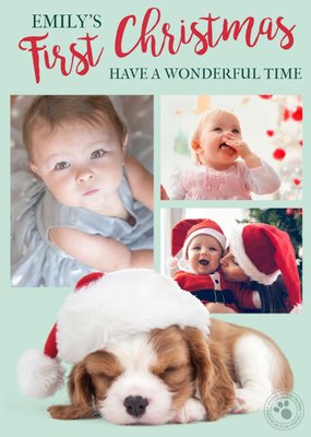 Studio Pets Frist Time Christmas Photo Upload Card