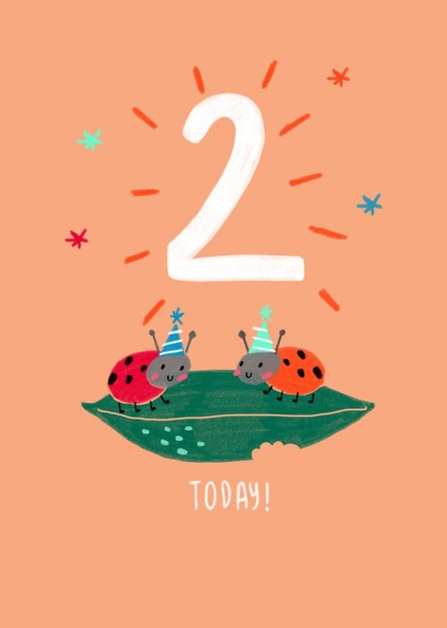 Cute Illustrated Ladybirds 2 Today Birthday Card