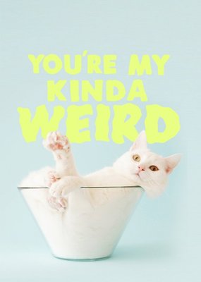 Jolly Awesome You're My Kinda Weird Funny Birthday Cat Card