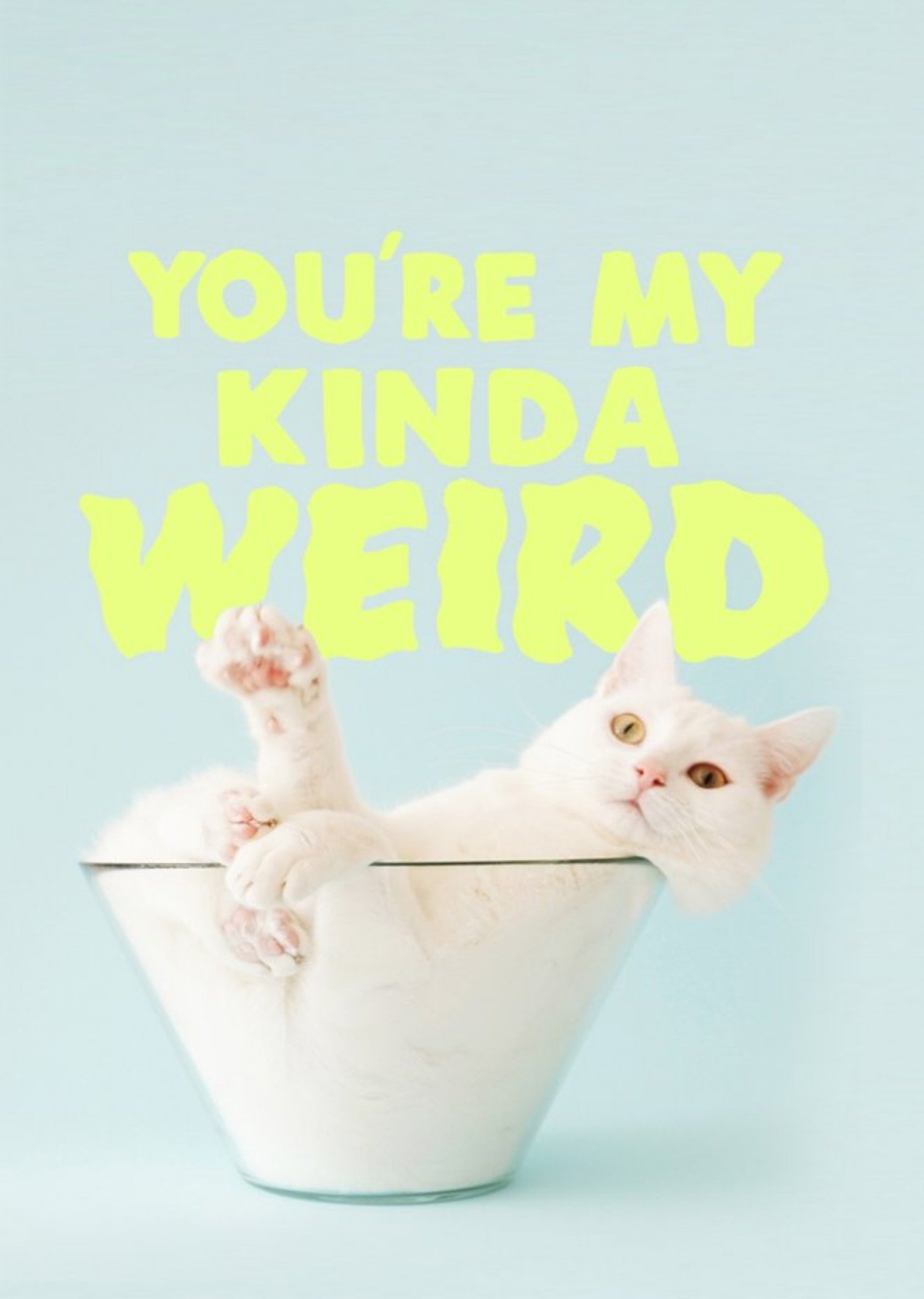 Jolly Awesome You're My Kinda Weird Funny Birthday Cat Card, Large