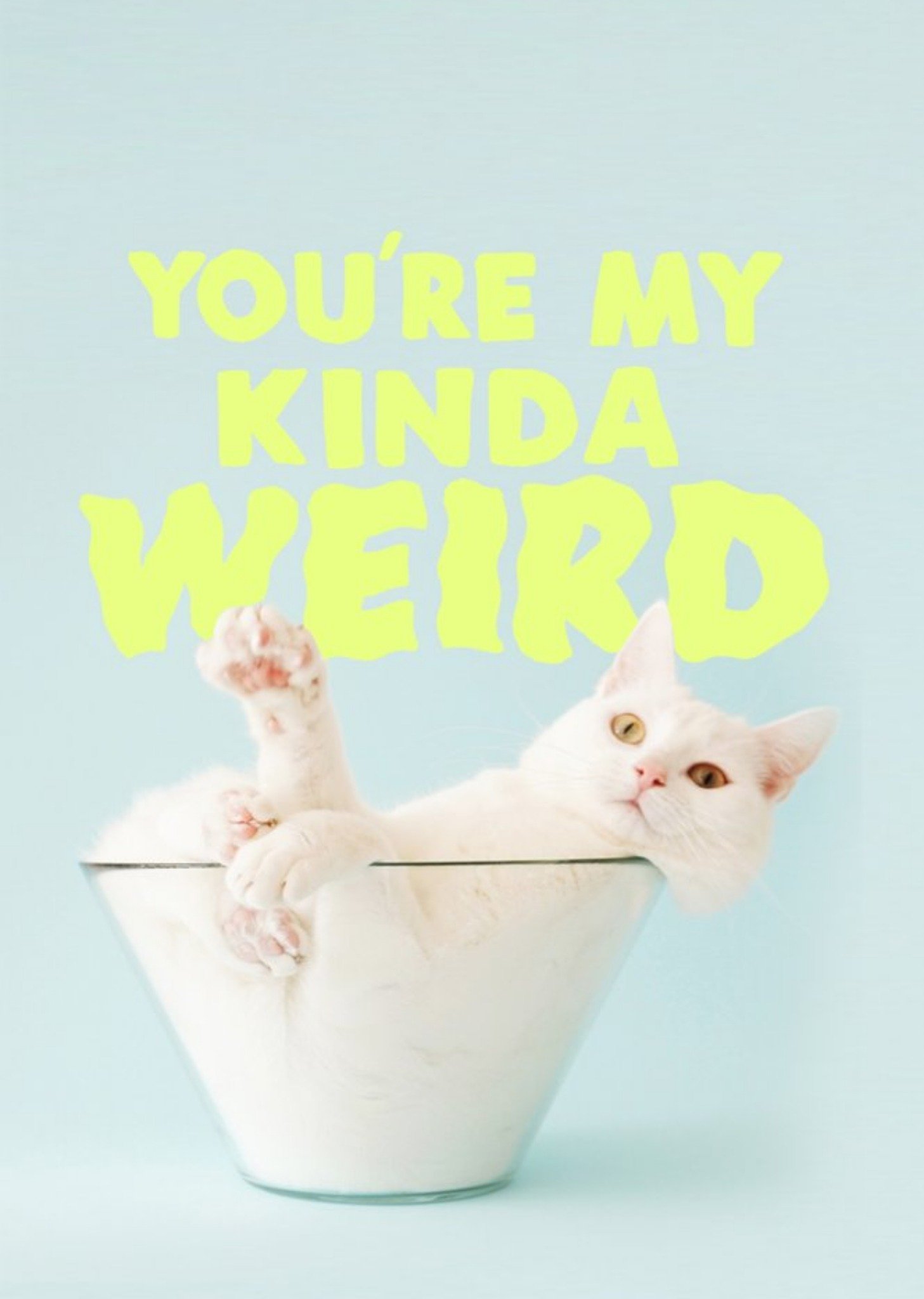 Jolly Awesome You're My Kinda Weird Funny Birthday Cat Card Ecard