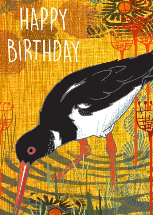 Oystercatcher Bird Birthday Card