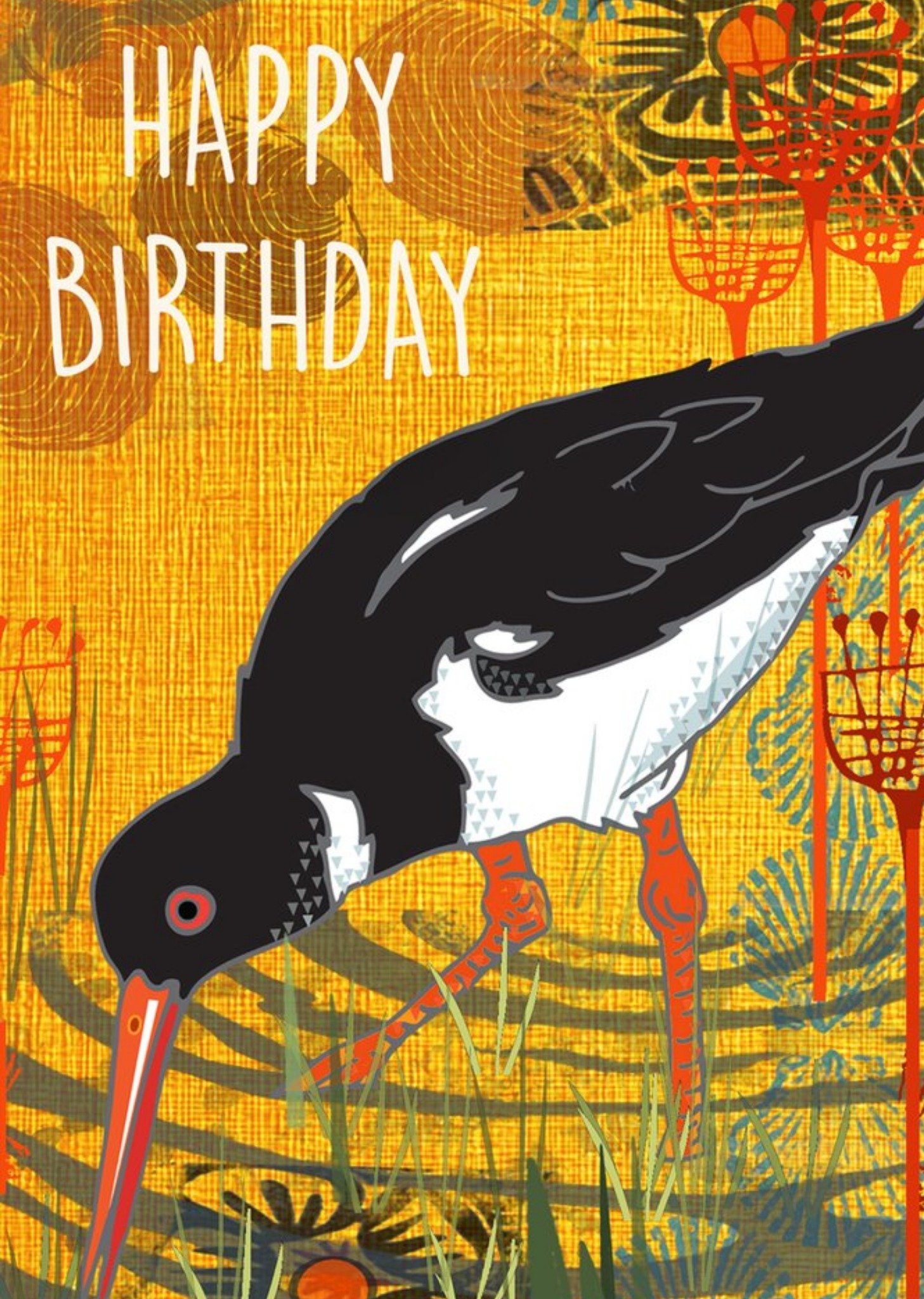 Moonpig Oystercatcher Bird Birthday Card, Large